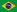 Português Brasil